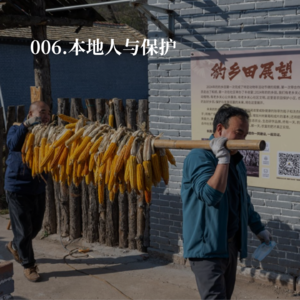 006.放牛时的偶遇，带来了豹乡田的“农业部长”