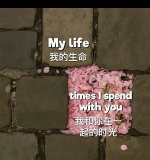 ep101.有这样一种婚姻：“和你在一起的我，比独处都更加真实。”