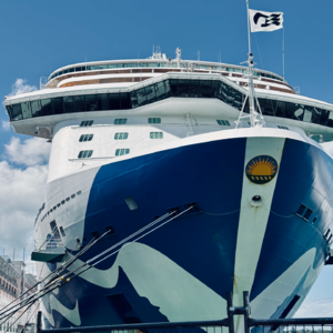 🚢 浸式体验游轮｜14天澳新航线，手把手教你如何选船、砍价、避坑