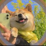 foo_