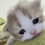 再看我我就把你扔出去