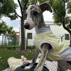 Vol.009 养狗带给了我们什么 | “小狗专家”趣说养宠