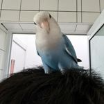 我想要我就得到