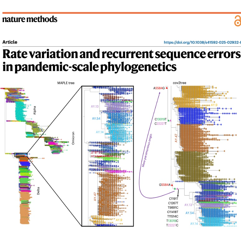 748-Pandemic-Scale Phylogenetics: Modeling Mutation Rates episode artwork
