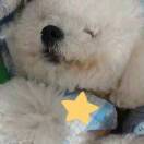 啊该怎么爱德华