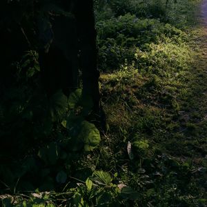 伤官的TOXIC：痛苦如何逼出极致才华？