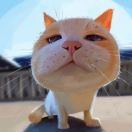 嘿Martin您也忒会玩