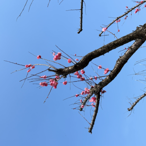 009 从生病到复查的就医全流程指南（上）｜做你身边的医生朋友