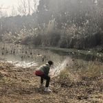 石楠張慶藝