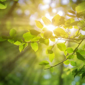 Ep22 就像是 照進我世界的光❤️