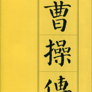 80曹操取汉中6张辽威震逍遥津