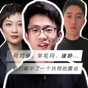 何同学、羊毛月、璩静......他们踩中了一个共同的雷点