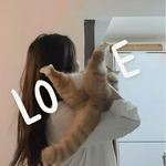 一朵云的碎碎念