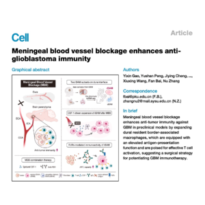 562-Meningeal Vessel Blockage Enhances Anti-GBM Immunity