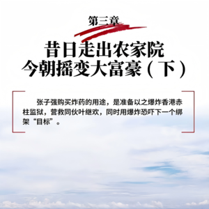 世纪绑架案-连载④| 昔日走出农家院，今朝摇变大富豪（下）