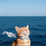 钱来钱从四面八方来-