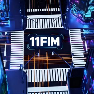 芯项目11FIM