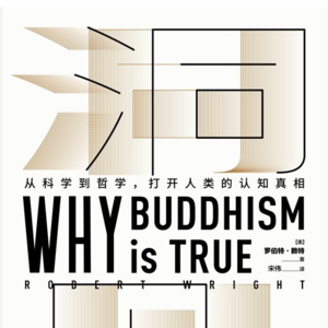 《洞见：为什么佛学是真的》| 从幻觉中，重建更好的生命叙事