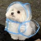 害我太棒了