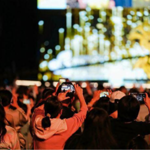 大家都说这是中国最舒服的电影节！