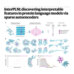 222-InterPLM: Interpretable Protein Language Models