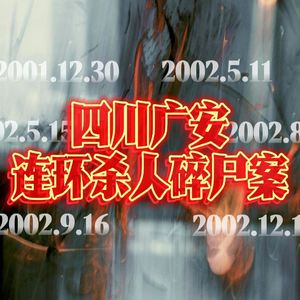 144.四川广安连环杀人碎尸案|老警察讲故事