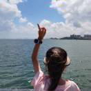 花开的声音_eT0W