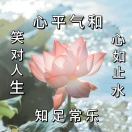 大鲍