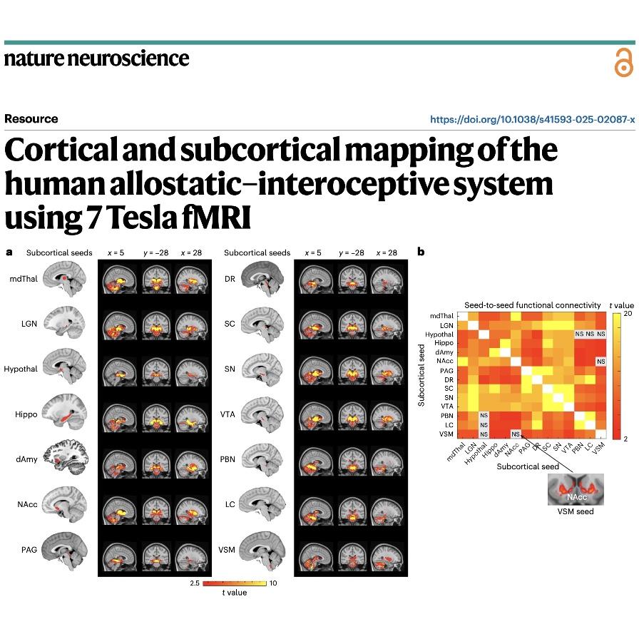 941-Mapping the Human Allostatic–Interoceptive System episode artwork