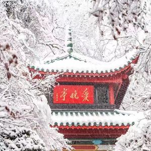 听雨者