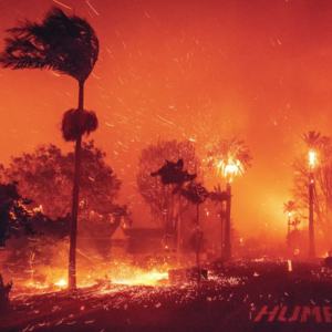 Rexpresso【1】山火肆虐:解读洛杉矶野火之因