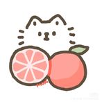 一颗小红柚呀