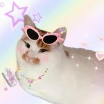 亮亮亮亮亮亮亮亮亮亮