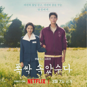 苦尽柑来，本土也有很多等待编辑的好故事