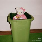 B级海豹