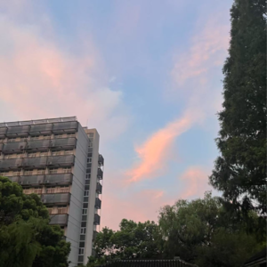 01 | 散步事件