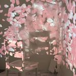 上次吃的不好吃