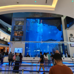 2. 迪拜往事 重生之我在迪拜当乞丐