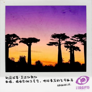 新团招募·马达加斯加｜狐猴、猴面包树与星空，地球最后的生命孤岛