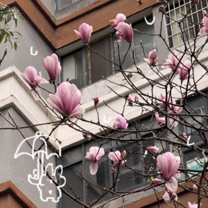 怎么会和去年今日的状态一模一样 📅 Mar.13