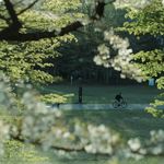 茉上青川