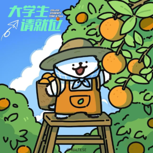 《宠物流量变现：不「毛」则已，一「毛」惊人！》