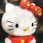 困困的Kitty