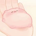 沅栗栗