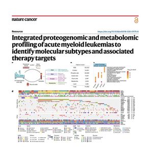 1304-Multiomic Profiling of Acute Myeloid Leukemia