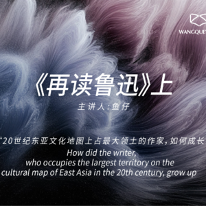 该吃多少s才能变强？彪悍的鲁迅炼成之路《再读鲁迅》
