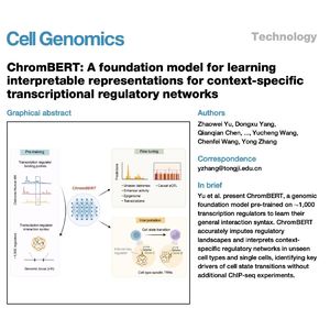 1086-ChromBERT: A Foundation Model for Regulatory Networks