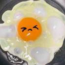 沙发土豆东东