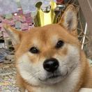Running良
