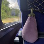 下定决心的茄茄